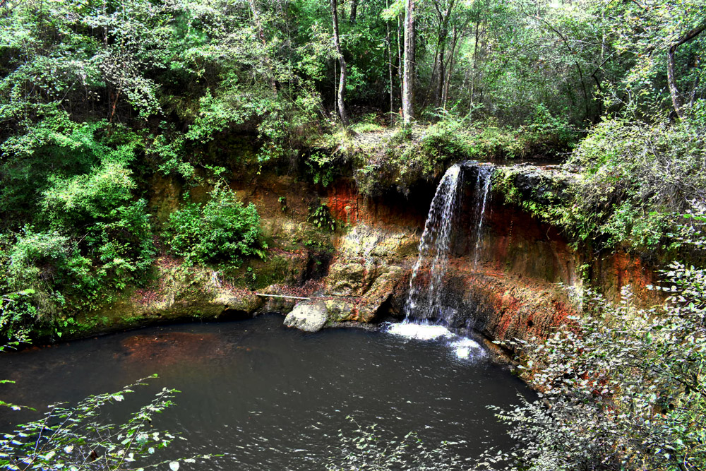 The Lynch’s Water Fall